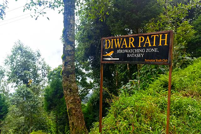 Milestone Dawaipani